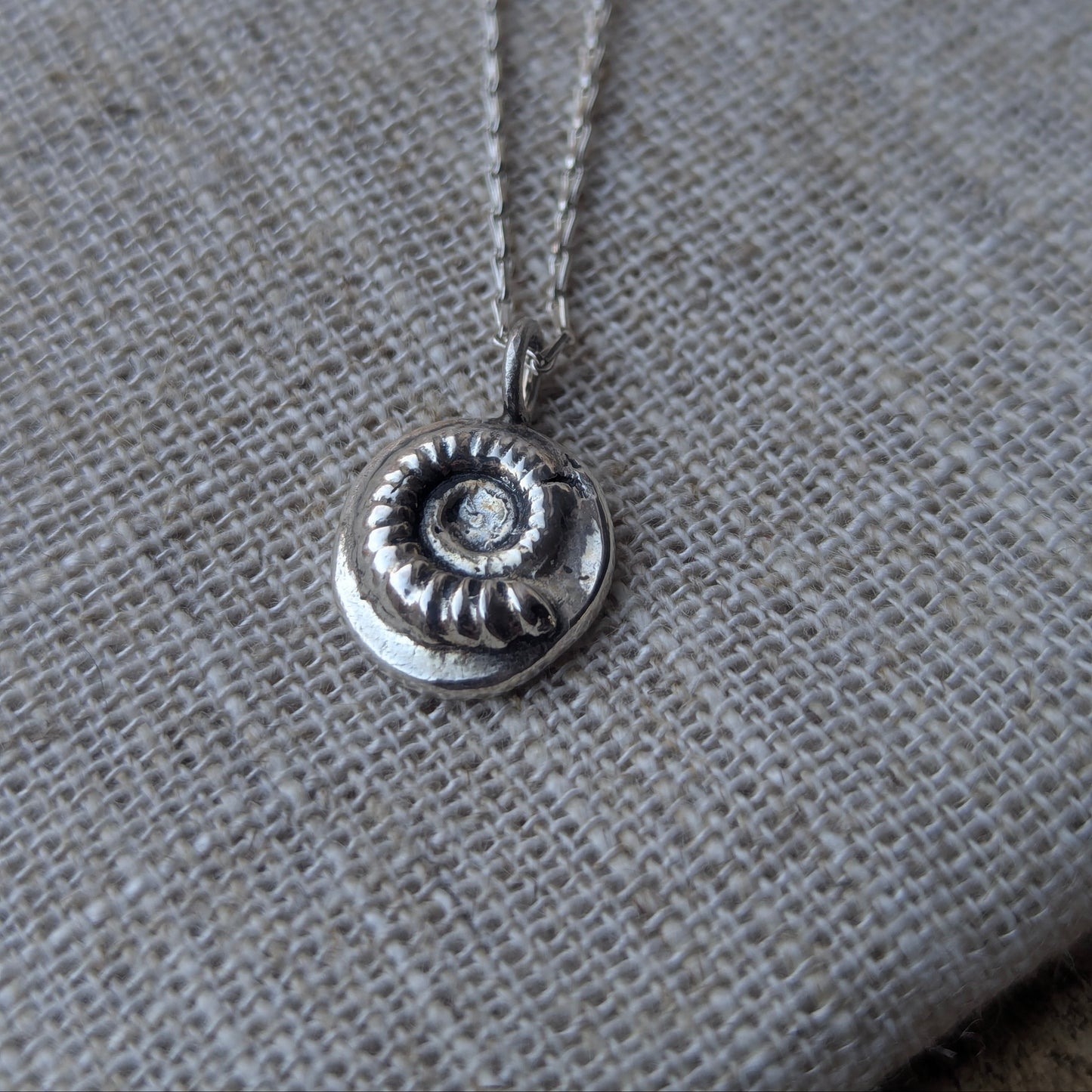Ammonite pendant